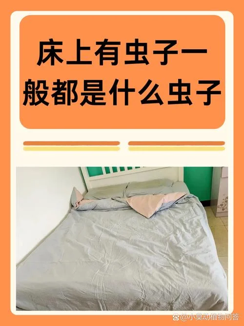 怀孕梦见虫子什么预兆-怀孕梦虫预示吉凶