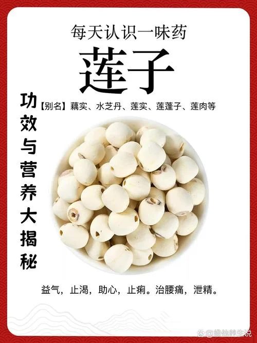 莲子的种植历史_2
