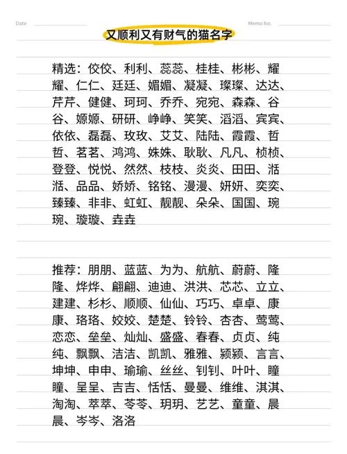 给小猫起名字三个字_1