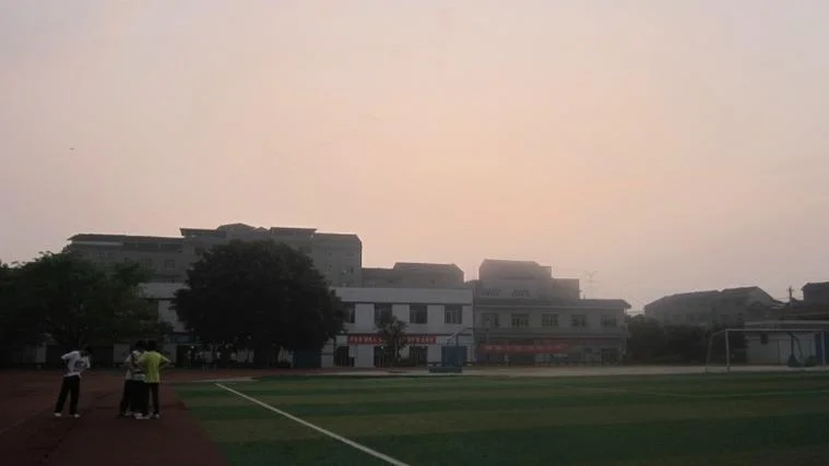 石宝中学校花_1