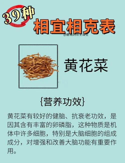 黄花菜一亩地利润多少_1