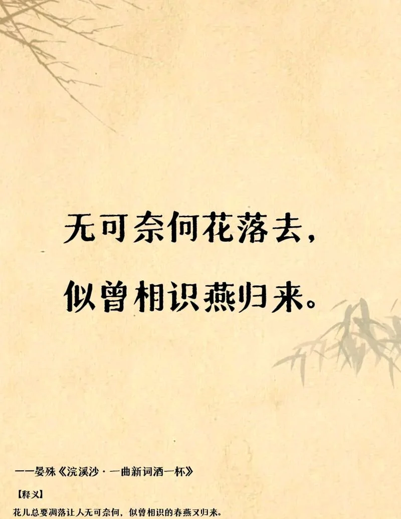 确认过眼神下一句唯美_1