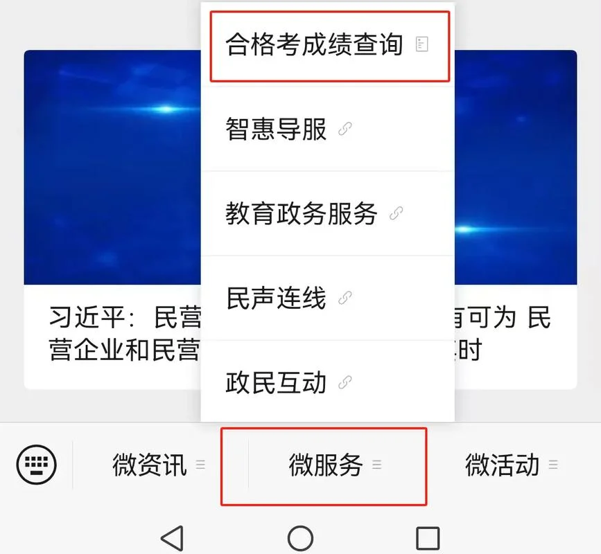 长兴学考成绩查询_1