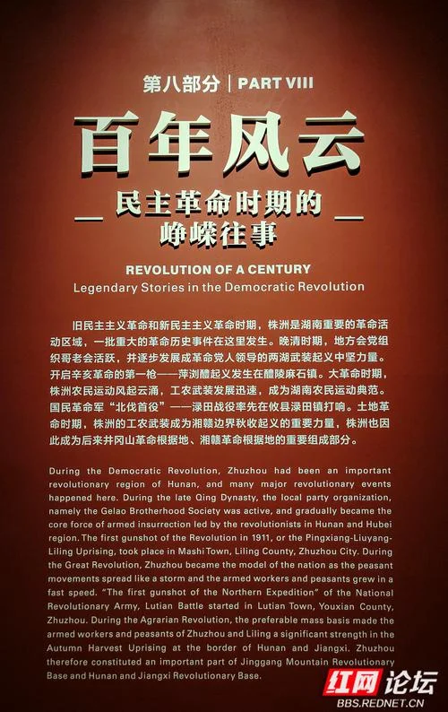 dgc历史-dgc的历史沿革