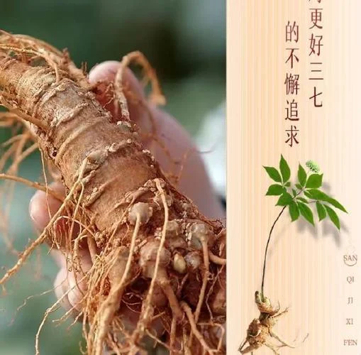 三七粉买什么好_2