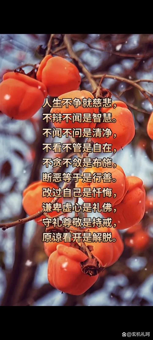 佛说人生的智慧道理_1