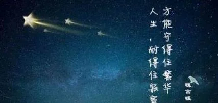 谁寂寞了繁华出自哪里_2