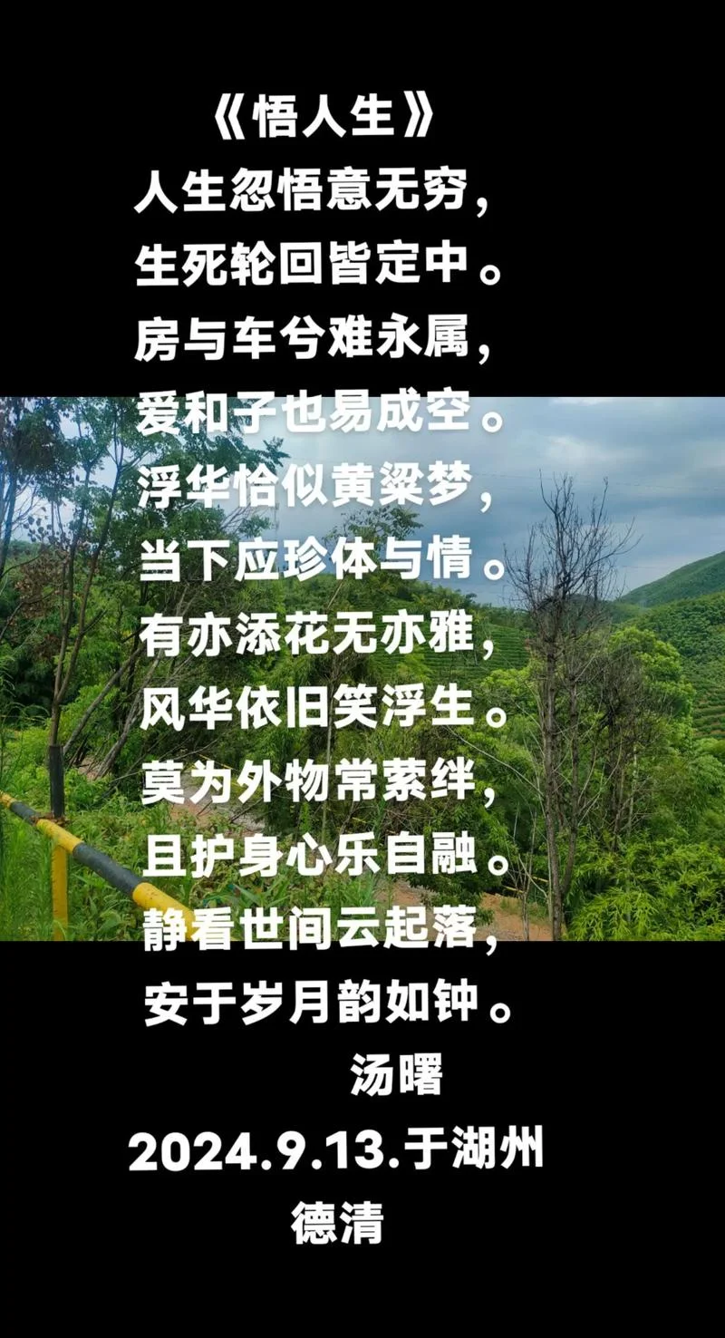 人生感悟诗句经典大全_2