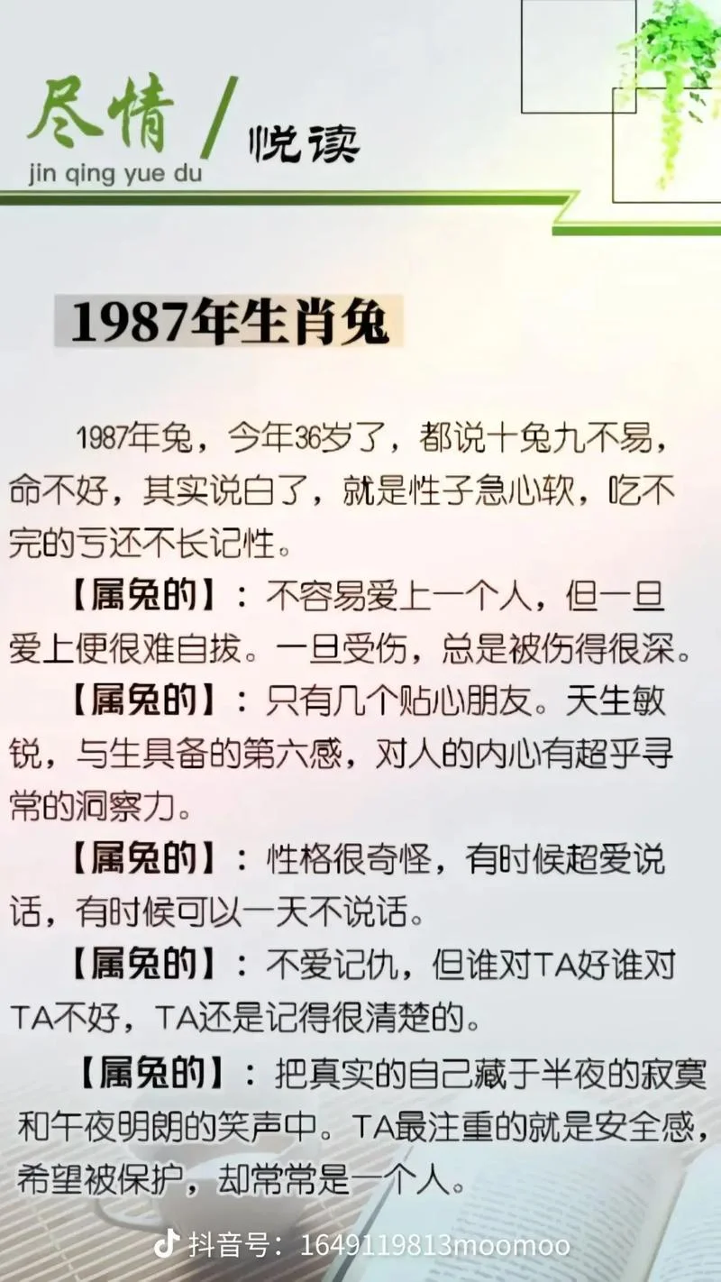 1987年12月28日什么命_2