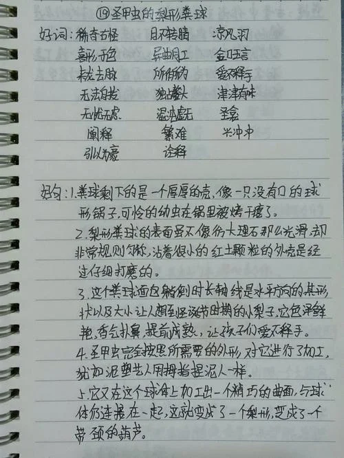 飘的读书笔记3000字_2