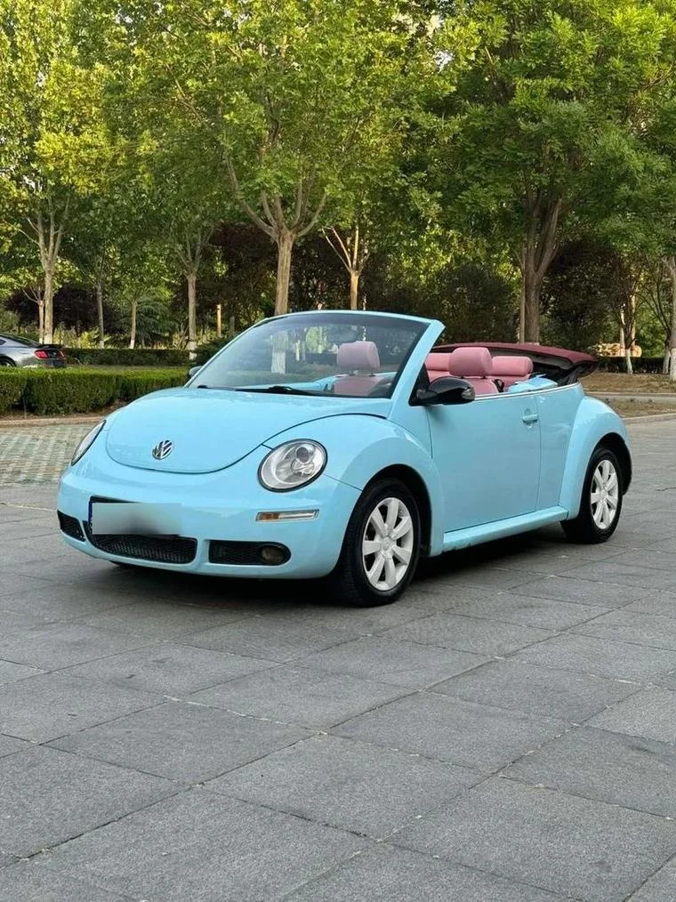 什么是甲壳虫型汽车_1