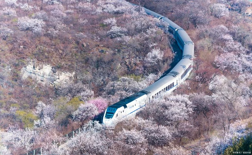 梦见火车从身边开过去_1