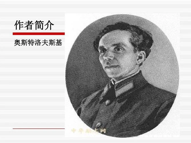 爱的回旋踢作者是谁_1