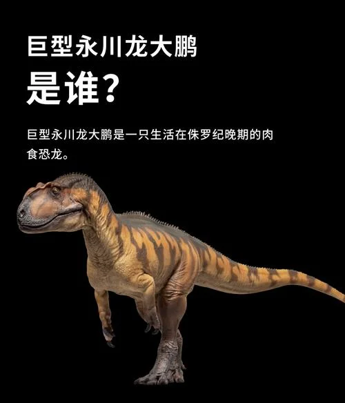 最大的恐龙叫什么_2