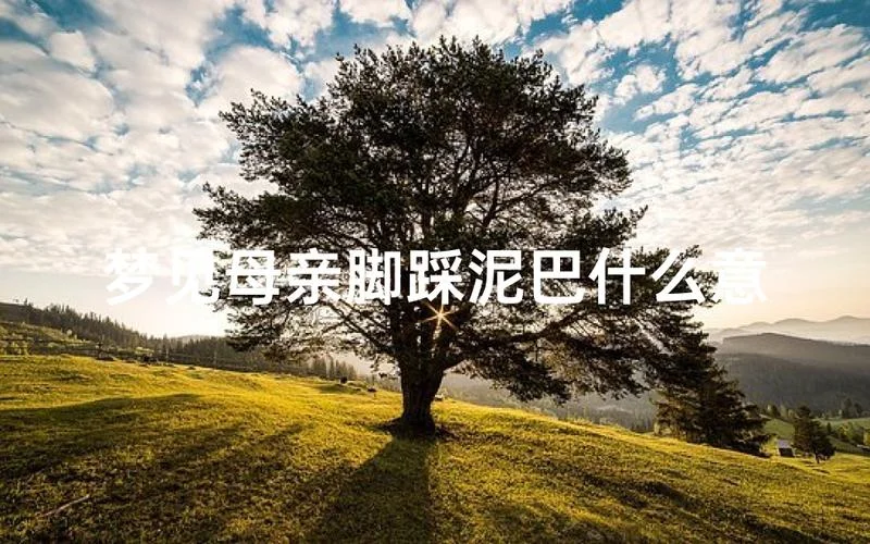 梦见泥巴粘腿上_1