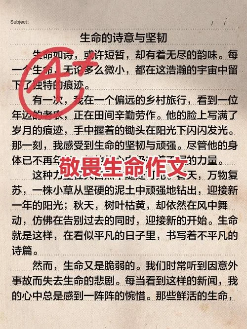 关于生命的感悟300字_1