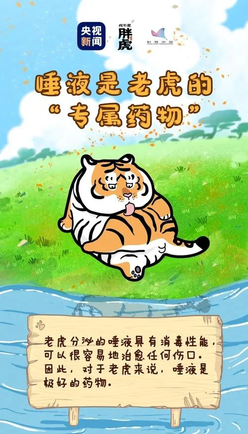 世界爱虎日叫什么名字_2