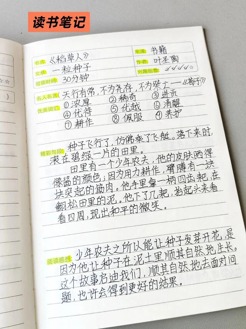 怎么做读书笔记最有效-如何高效做读书笔记