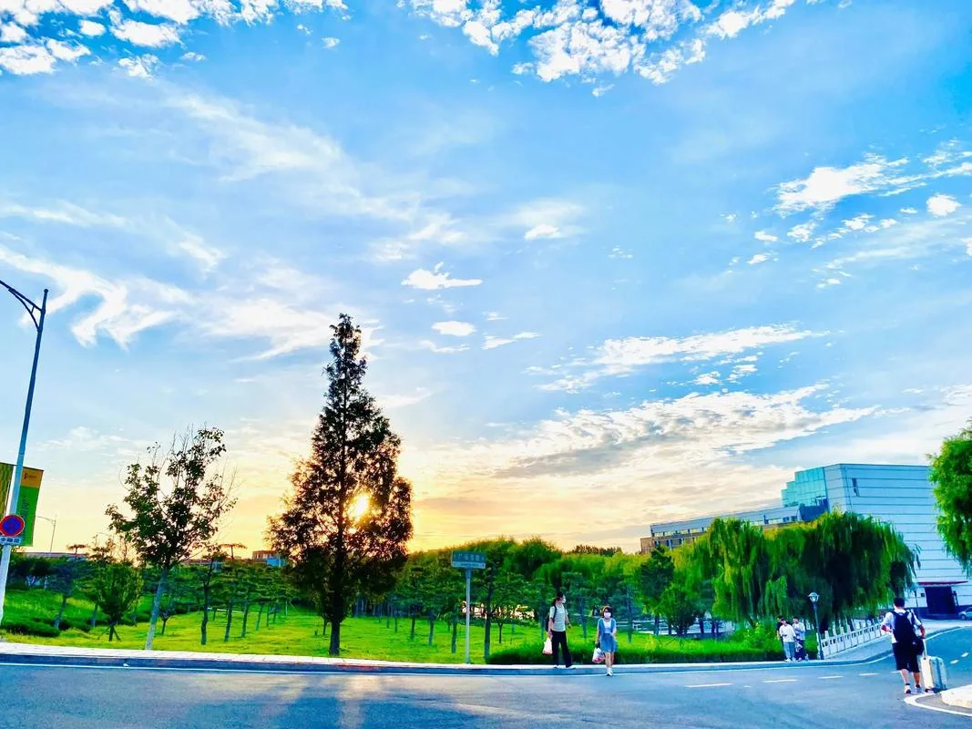 青岛城市学院-青岛城市学院