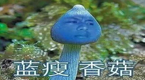 蓝瘦香菇原出处_1