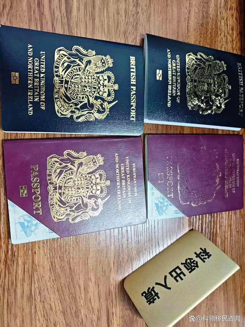 英国留学生回国护照-英国留学生回国护照