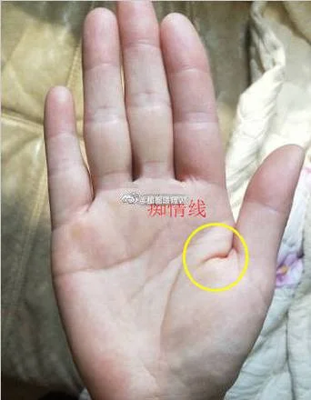 手相直觉线图片-手相直觉线图解