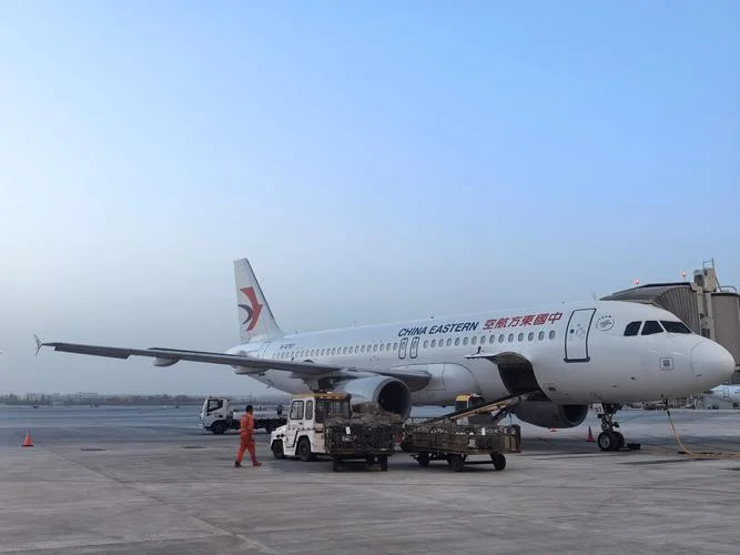 东航归属哪家航空公司_1