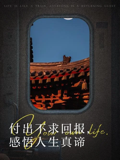 付出与回报感悟-付出回报感悟