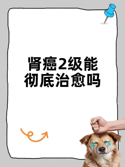 如何查肾癌_1
