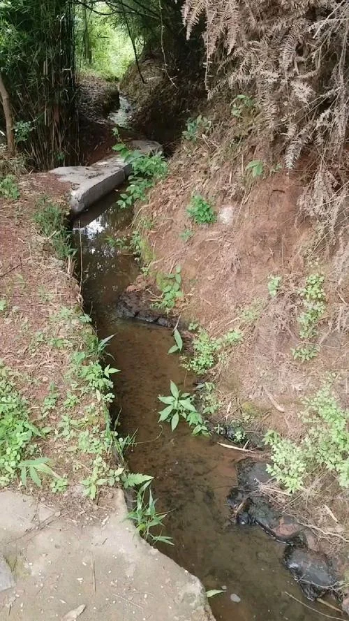 梦见小水沟-梦见小水沟