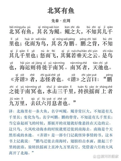 大鱼是谁写的_2