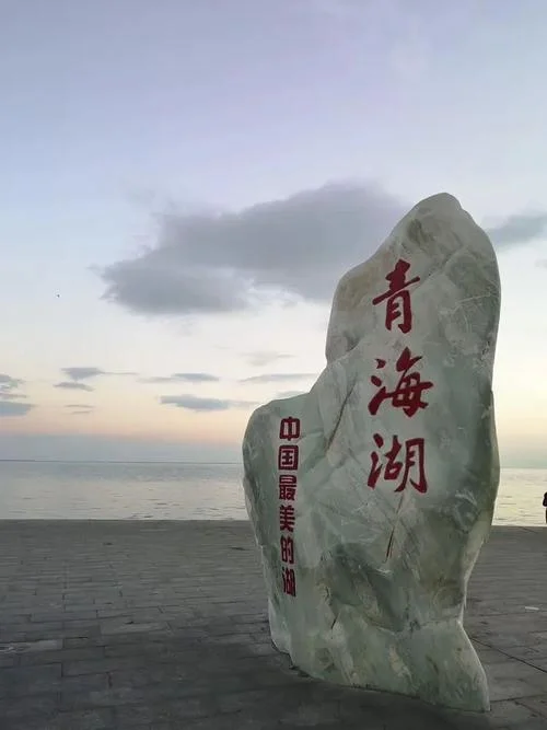 君不见青海头出自哪里_2