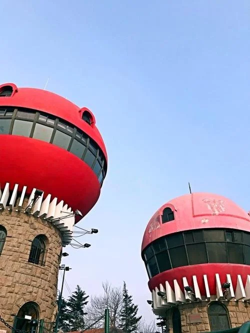 青岛第十二中学_1