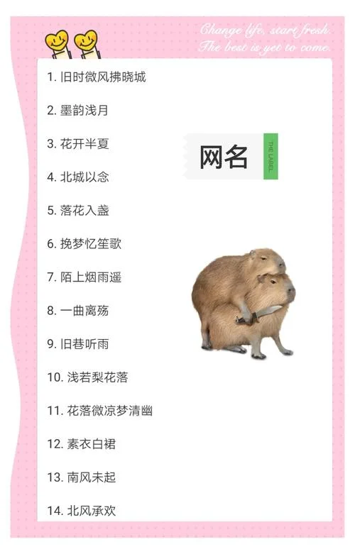 女孩起名有诗意的网名-诗意女孩网名