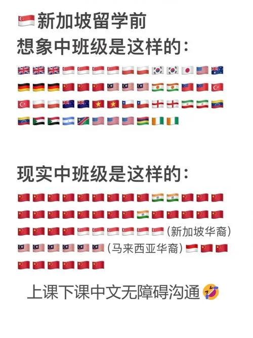 留学生在国外会遇到什么方面的问题_1