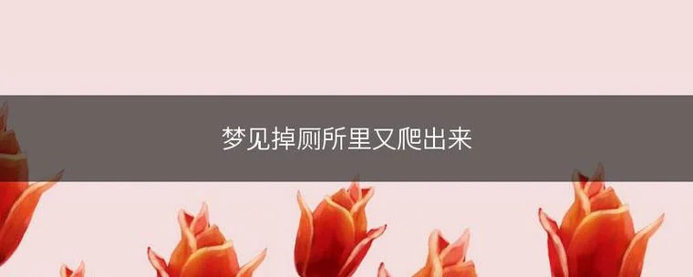 梦见自己差点掉进茅坑-梦坠粪坑