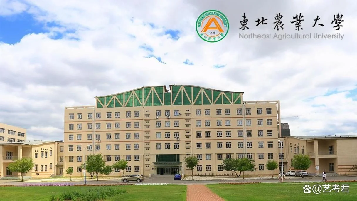 东北农业大学管理学考研-东北农大管理学考研