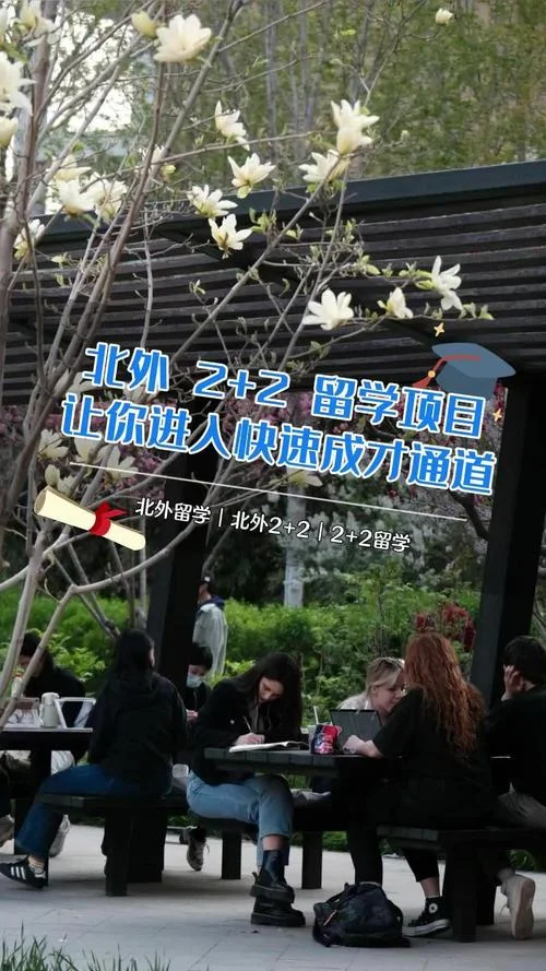 出国留学办学2+2_1