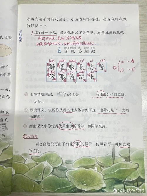 莲花的作者是谁_1