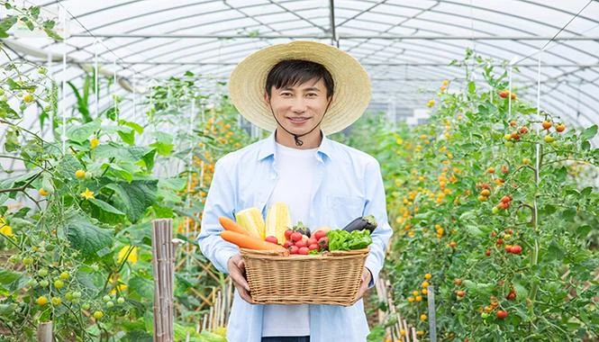 梦见摘菜吃是什么意思-梦见摘菜吃的寓意