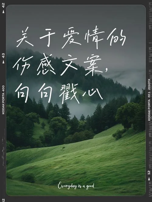 被偷走的爱情文案_1