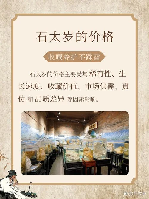 化石多少钱一平方_1