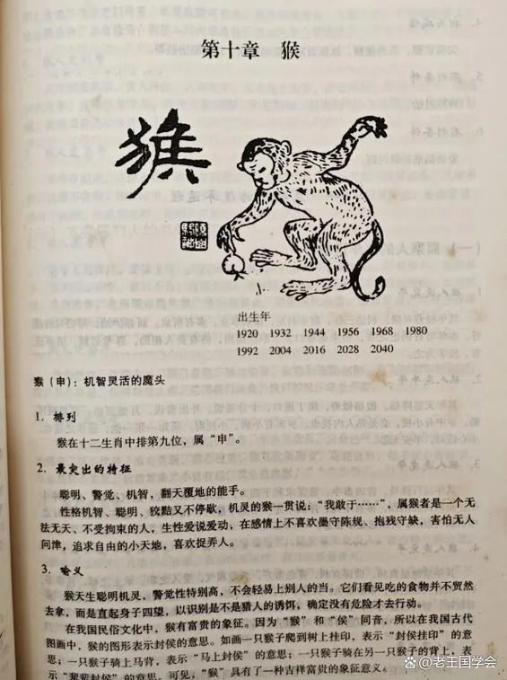 2019年猴月是几月份_1