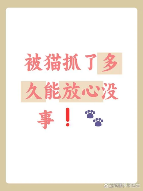 做梦被猫抓什么意思_2