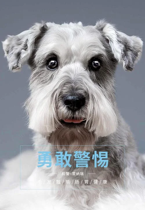 小奶糕狗粮哪个牌子好_2