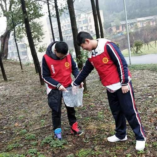 益阳市海棠中学招生-益阳市海棠中学招生