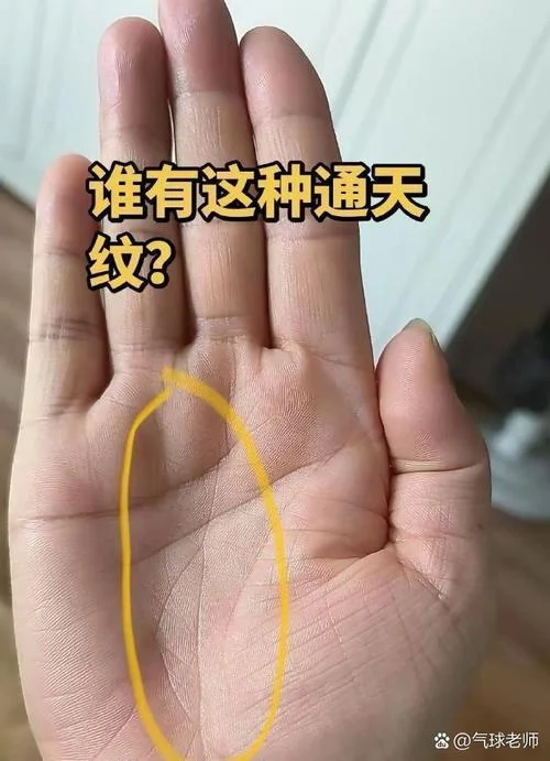 正常手相是啥样子_2