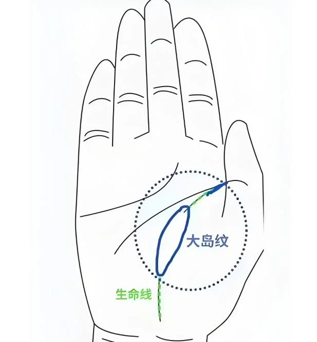 手相鱼形纹大全_2