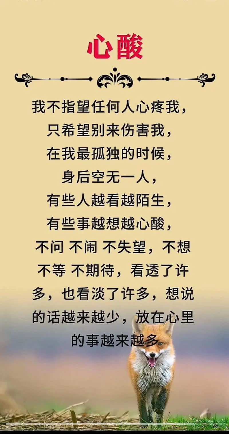 生活无奈感悟心情日志_2