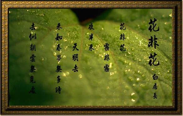 沐雨橙风出自哪首宋词_1